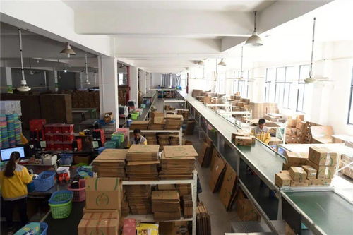 临安工厂备战双十一 生产不停、分仓不歇的紧张有序图景