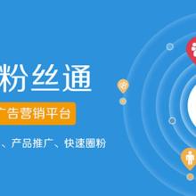 上海火速网络科技股份 数据科技领域的技术服务先锋